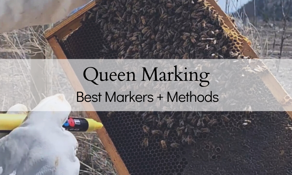 Queen Bee COLORS BEST MARKERS to use for 2024 The Farmers Cupboard