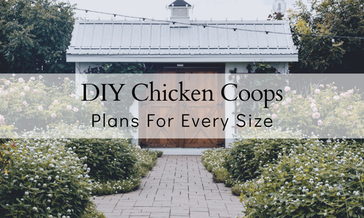 Plans For A Chicken Coop