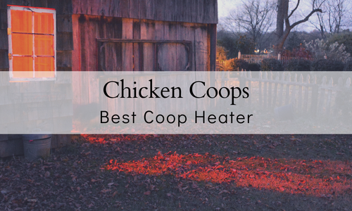 Best SAFEST Chicken Coop Heaters For 2024 The Farmers Cupboard   Chicken Coop Heater 500x 