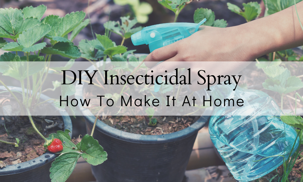 How To Make Insecticidal Soap | BEST 2024 DIY Recipe – The Farmers Cupboard